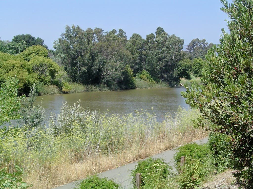 Napa River Electric Boat Cruises