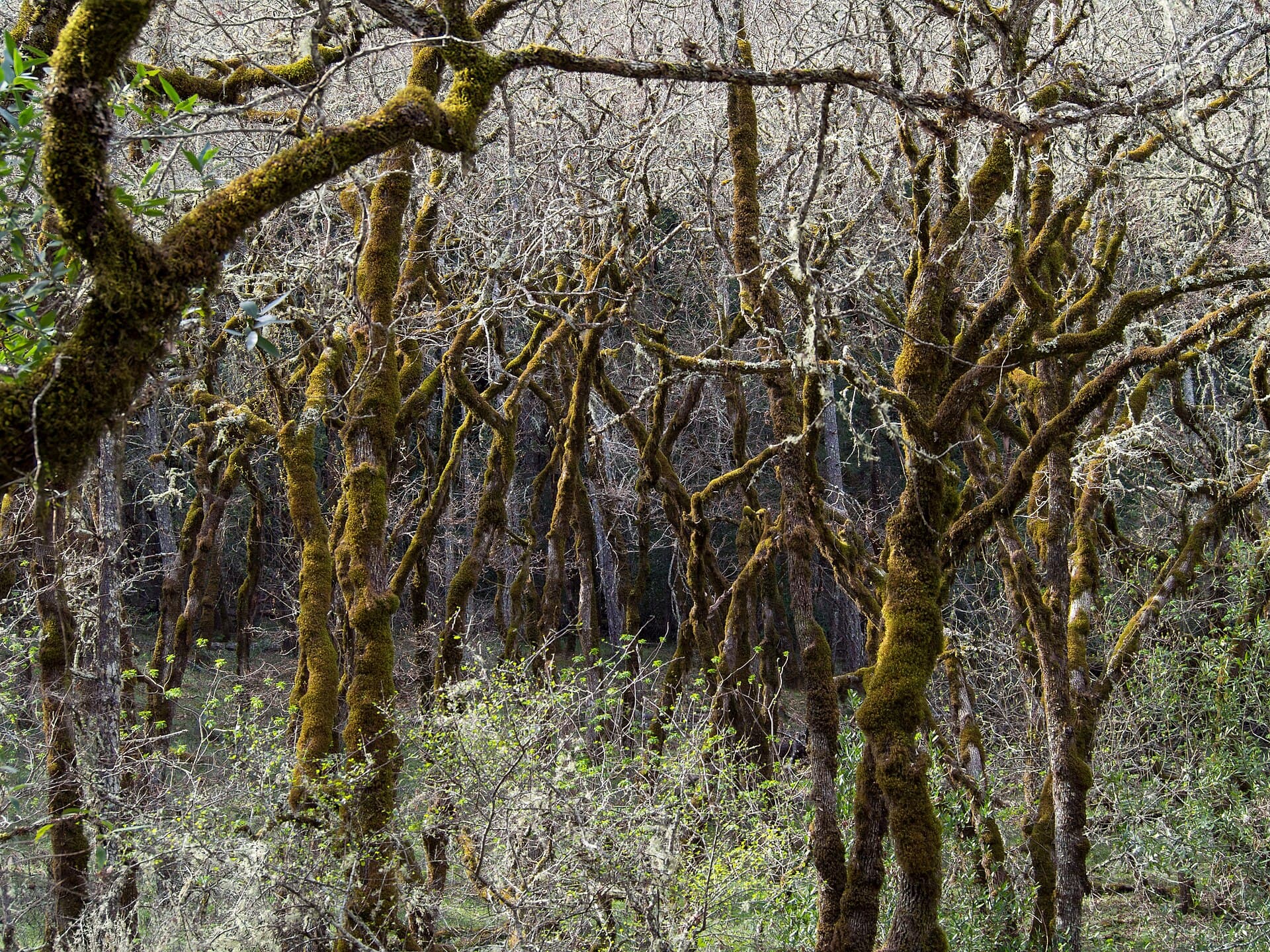 Hiking Trails