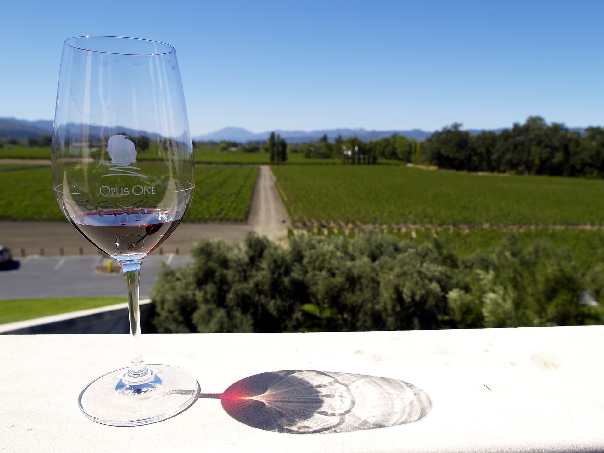Napa wine tasting